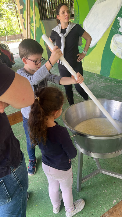 Lactitour. Experiencia de Ganaderia en Finca el Recreo