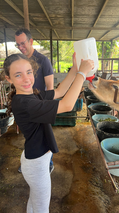 Lactitour. Experiencia de Ganaderia en Finca el Recreo